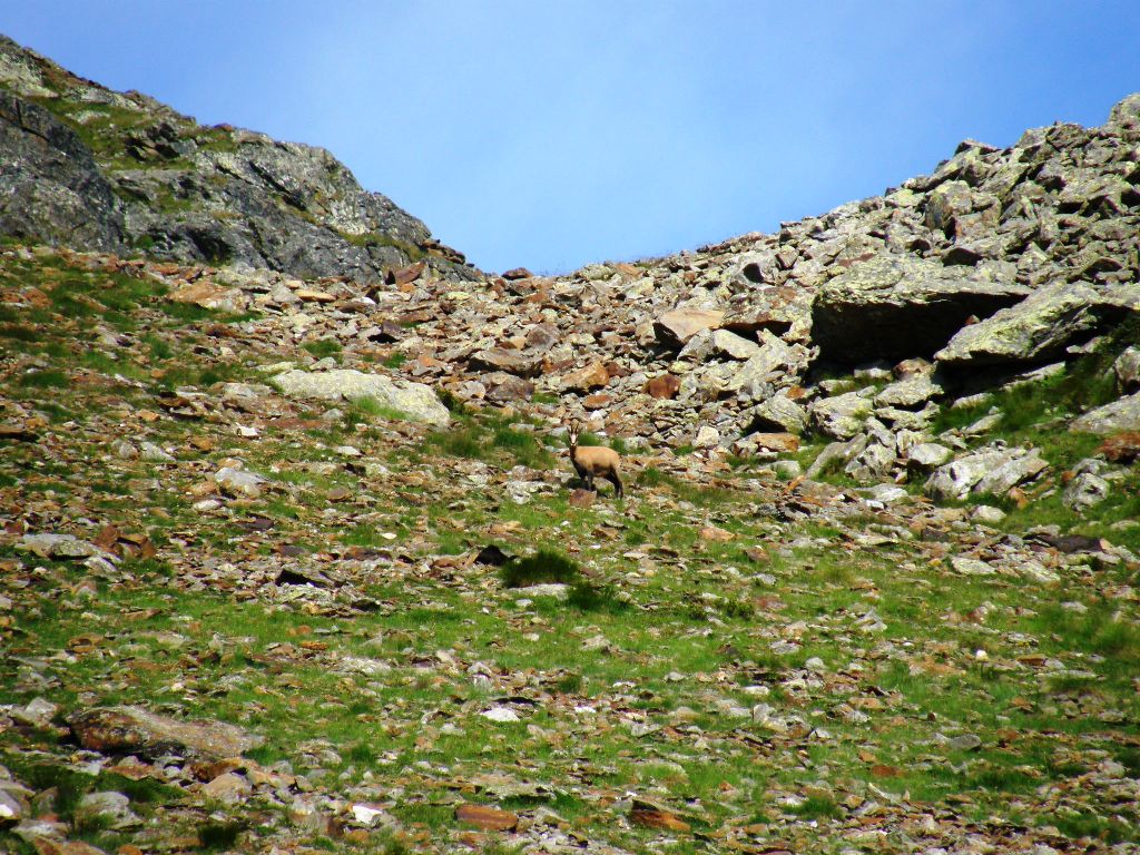 Itinerari per tutti (o quasi): Cima di Caione